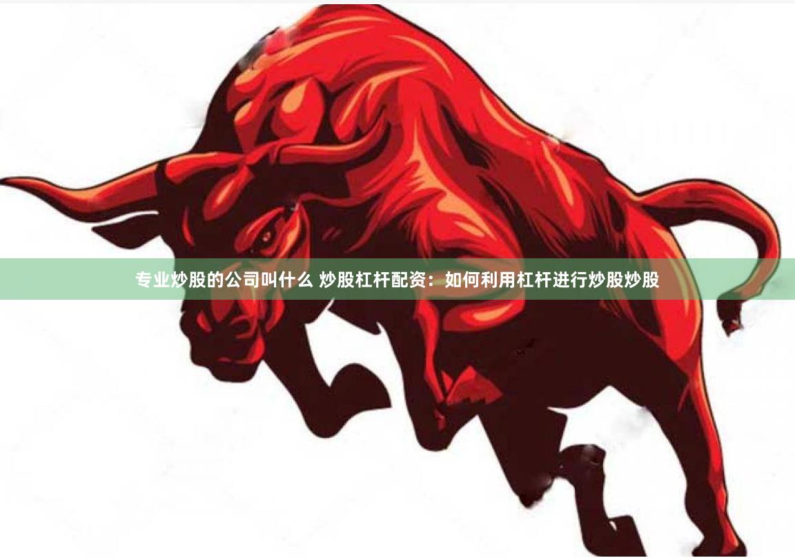 专业炒股的公司叫什么 炒股杠杆配资：如何利用杠杆进行炒股炒股