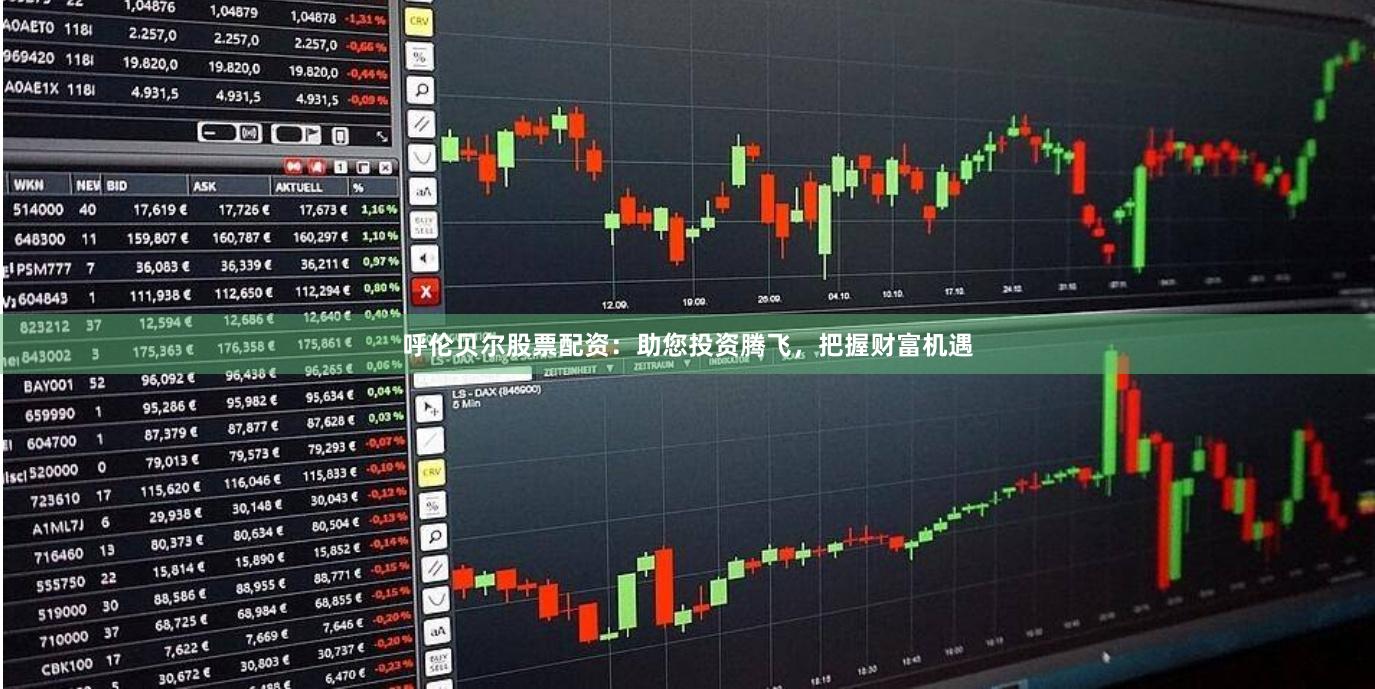 呼伦贝尔股票配资：助您投资腾飞，把握财富机遇
