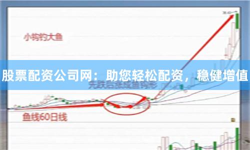 股票配资公司网：助您轻松配资，稳健增值