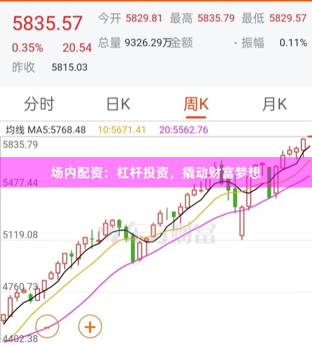 场内配资：杠杆投资，撬动财富梦想